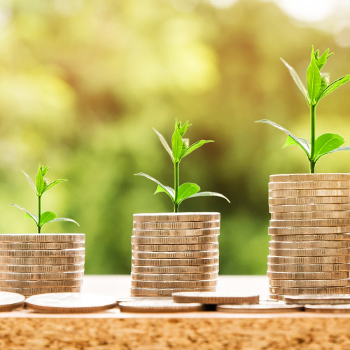 Business Financial Health Assessment